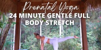 PRENATAL YOGA | Gentle Full Body Stretch (24 minutes)… Ashley Freeman