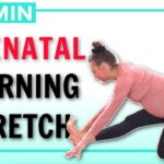15 min Prenatal Morning Yoga Full Body Stretch // For All Trimesters of Pregnancy