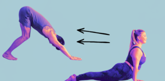 4 Quick Ways to Transition From Upward Dog to Downward Dog