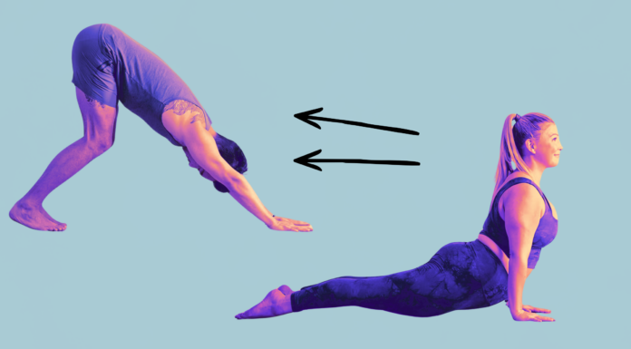 4 Quick Ways to Transition From Upward Dog to Downward Dog