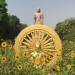 Buddha Pūrṇimā: A Mirror for the Human Heart | Tara Mitra Yoga