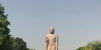 Buddha Pūrṇimā: A Mirror for the Human Heart | Tara Mitra Yoga