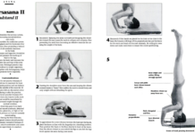 Tripod Headstand Makes the Iconic Inversion More Approachable