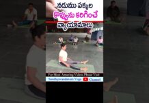 Side Fat Burning Exercises In Telugu | belly fat | shorts