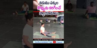 Side Fat Burning Exercises In Telugu | belly fat | shorts