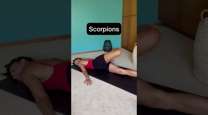 NO MORE SCIATICA! Try these exercises to help increase your back strength and prevent sciatica!
