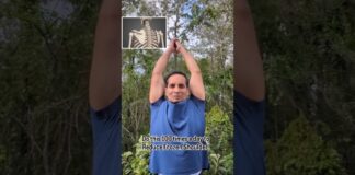 Do This 100 Times Everyday to Improve Your Health | Simple Daily Movement for Mobility & Healing