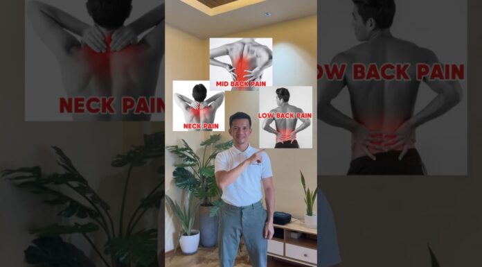 NECK PAIN, MID & LOW BACK PAIN RELIEF 🤩🤩🤩