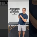 4 Great Stretches For FAST Back Pain Relief!