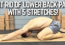 5 Essential Lower Back Stretches to Live Back Pain Free | Basic Yoga Poses for Men Tutorial Series