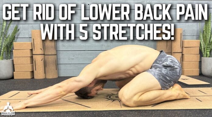 5 Essential Lower Back Stretches to Live Back Pain Free | Basic Yoga Poses for Men Tutorial Series