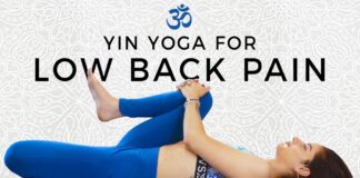 Yin Yoga for Low Back & Hip Pain | Twists, Internal Rotation, Gentle Yoga Stretches for Beginners