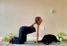 5-Minute Yoga for Focus Routine You Can Practice Anytime