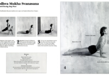 Upward-Facing Dog Prepares You for More Challenging Backbends
