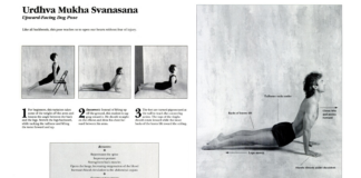 Upward-Facing Dog Prepares You for More Challenging Backbends