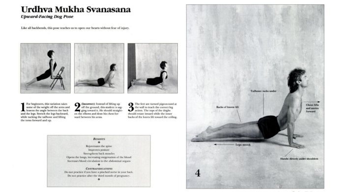 backbend-upward-facing-dog-yoga-journal.png