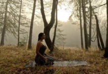 Morning Yoga to Stretch Your Whole Body