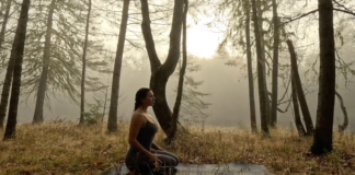 Morning Yoga to Stretch Your Whole Body