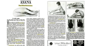 The Best Sunday Night Stretch for Sleep? Paschimottanasana.