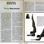 Pincha Mayurasana (Forearm Stand) Redefines Balance. Here’s How.