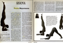 Pincha Mayurasana (Forearm Stand) Redefines Balance. Here’s How.
