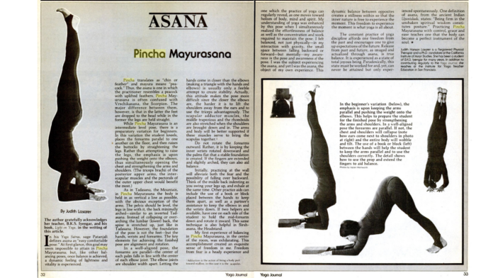 pincha-mayurasana-forearm-stand.png