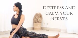 Regulate Your Nervous System | Anxiety & Stress | Calming Yoga For All