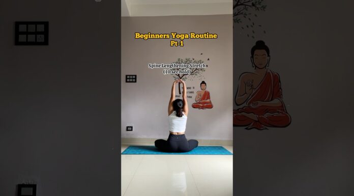 Beginner yoga routine pt-1🧘🏻♀️ #yoga #yogapractice #yogainspiration #shortsfeed #shorts #youtube