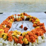 The Guru Concept in Yoga: Tradition, Transmission, and Truth
