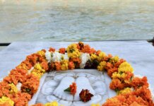 The Guru Concept in Yoga: Tradition, Transmission, and Truth