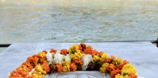 The Guru Concept in Yoga: Tradition, Transmission, and Truth