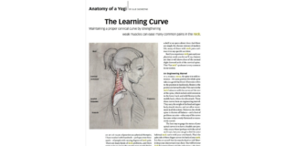 Pain in the Neck? Here’s How Yoga Can Help Relieve Tension.