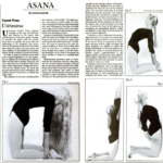 Camel Pose Requires Strength, Stability, and Surrender