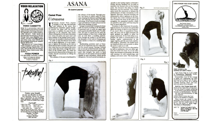 camel-pose.png