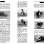 How Head-to-Knee Pose Offers Connection to Self