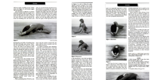 How Head-to-Knee Pose Offers Connection to Self
