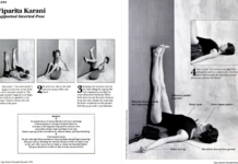 Legs Up the Wall is What the World Needs Right Now