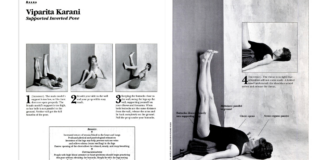 Legs Up the Wall is What the World Needs Right Now