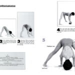 How to Get the Most Out of Prasarita Padottanasana