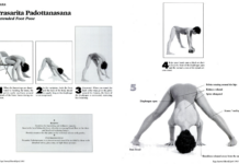 How to Get the Most Out of Prasarita Padottanasana