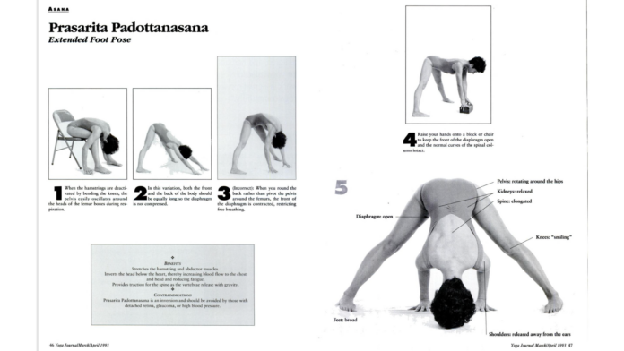 prasarita-padottanasana.png