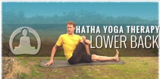 Hatha Yoga Therapy for the Lower Back with David Procyshyn