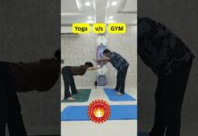 Gym vs Yoga – Which is Best for Weight Loss & Fitness?