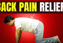 Daily Exercise for BACK PAIN | 15-Min Workout at home | Saurabh Bothra