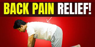 Daily Exercise for BACK PAIN | 15-Min Workout at home | Saurabh Bothra