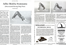 Why This Yoga Pose is Almost a Complete Practice