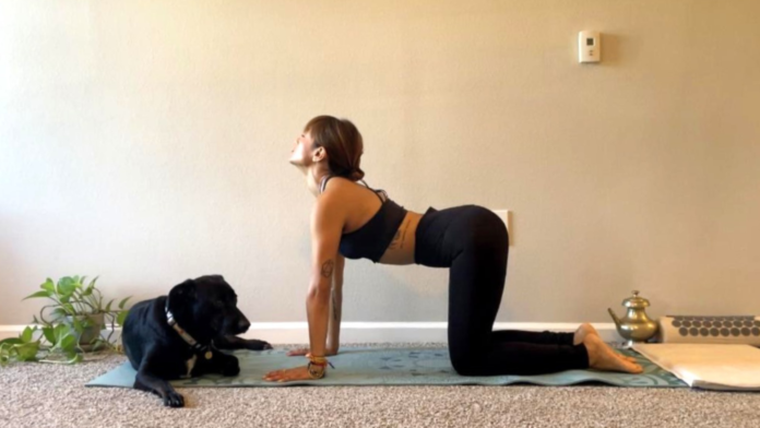 yoga-for-anxiety-1_anjana-rajbhandary.png