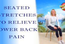 Seated Lower Back Stretches for Pain Relief | Low Back Pain | 8 Min Stretch Routine
