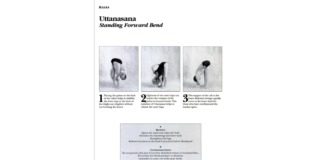 Simple Adjustments to Protect Your Lower Back