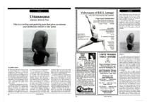 Struggling in Standing Forward Bend? Stop Blaming Your Tight Hamstrings.